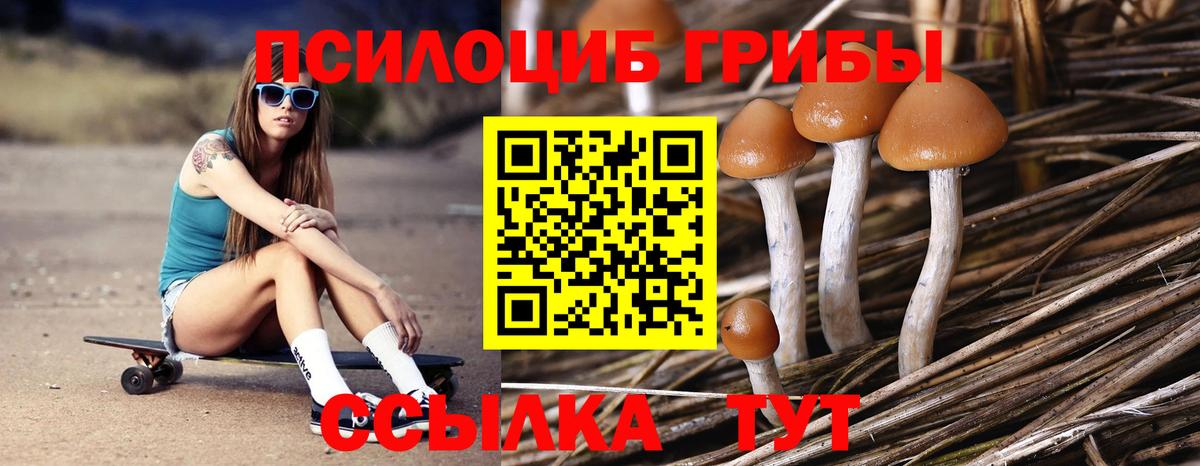 Галлюциногенные грибы мухоморы Орёл